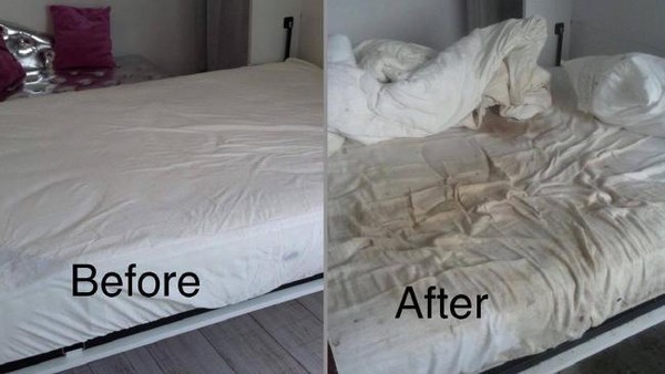 Joroknya! Disewakan ke Orang Asing, Kamar Ini Penuh Kotoran Manusia