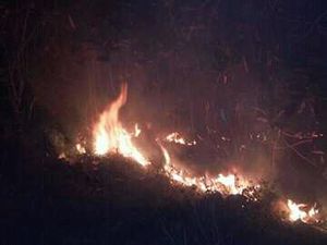 Polisi Selidiki Penyebab Kebakaran Hutan di Gunung Guntur Garut