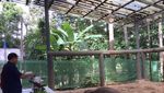 Foto: Seperti Ini Rumah Sakit Khusus Gajah