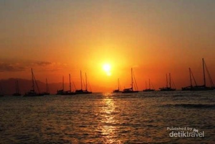 Pesona Lumba-Lumba Hidung Botol dalam Festival Lovina 2017