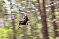 Flying Fox Rasa Roller Coaster, Jantung Mau Copot!