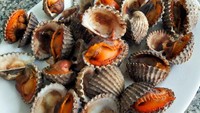 Kuliner berikutnya, ada Kerang Darah dari Shanghai, China. Kuliner satu ini ekstrem karena ternyata ada efek yang cukup berbahaya bila mengonsumsinya. Tercatat 310 ribu orang di China terinfeksi Hepatitis A di tahun 1988 gara-gara makan kerang ini (Thinkstock)