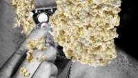 Brewok dan jenggot ini justru mirip sepetri popcorn dan biji jagung. Dari foto terlihat popcorn sedang dicukur dengan alat pencukur rambut. Foto: The Johnny Smith