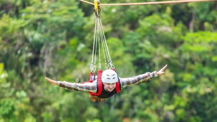 Ilustrasi Flying Fox