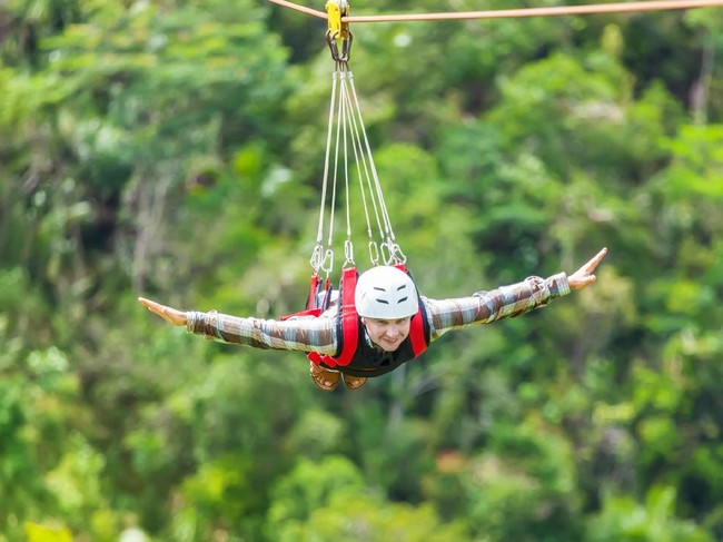 Main Flying Fox Yuk!