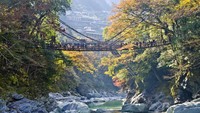 Ada pula jembatan gantung yang bersejarah yaitu Kazurabashi. Di bawah jembatan ini terdapat sungai yang aduhai (Thinkstock)