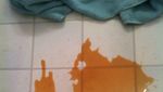 Tanpa Sengaja, Tumpahan Kopi hingga Air Ini Berbentuk Mata hingga Rusa!
