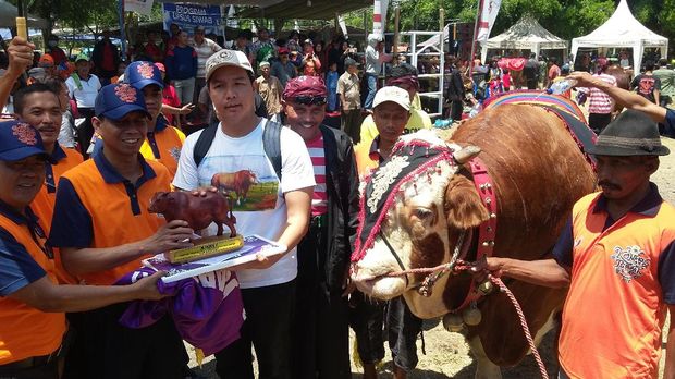 Sapi simmental milik warga Maesan keluar sebagai juara dalam kategori kereman 