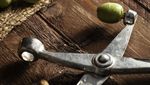 13 Alat Dapur Ini Nyaris Tak Pernah Dipakai oleh Para Chef