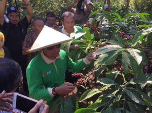 Petani Pasuruan Terus Diajak Petik Merah Kopi Demi Jaga Kualitas