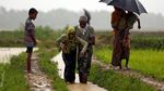 Foto: Memilukan Pengungsi Rohingya