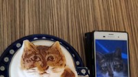 Lihat deh latte art gambar kucing ini. Barista My Cofi hanyay membuatnya berdasarkan foto. Mirip ya? Foto: My Cofi