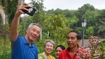 Melihat Keakraban Jokowi-PM Singapura Jalan-jalan di Botanic Garden