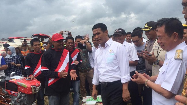 Harga Beras Makin Mahal, Pemerintah Akhirnya Pilih Impor