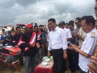 Harga Beras Makin Mahal, Pemerintah Akhirnya Pilih Impor