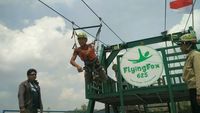 Sudah Tahu? Flying Fox Terpanjang se-Asia Tenggara di Gunungkidul