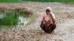 Foto: Memilukan Pengungsi Rohingya