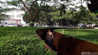 Taman Labirin recommended untuk warga Bandung maupun luar kota menghabiskan waktu di sore hari atau akhir pekan. Selain gratis, wisatawan disuguhi pemandangan yang instagramable/ Foto: Mukhlis Dinillah