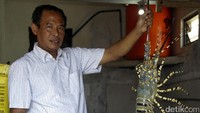 Lilik Harijanto merupakan mitra binaan yang bergerak di bidang budidaya lobster. Lobter tersebut tidak hanya dijual di dalam negeri, namun juga ke luar negeri seperi Vietnam dan Singapura.