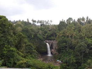 Ubud Punya Air Terjun Secantik Ini