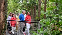 Jokowi mengawali pertemuannya dengan PM Lee dengan jalan pagi di Singapore Botanical Garden. (Setpres)