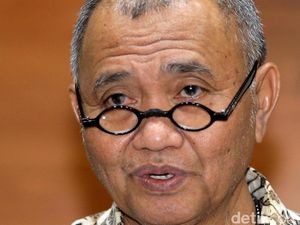 Ketua KPK Dukung Direkturnya Maju Pilwalkot Bogor 2018