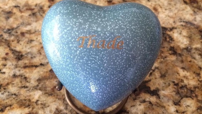 Main Petak Umpet, 2 Anak Ini Temukan Abu Jenazah di Hotel