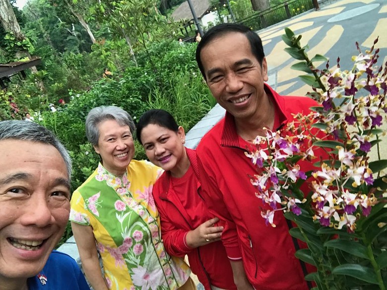 Jokowi Bertemu PM Singapura: Tanam Pohon Hingga Bahas Kerja Sama Jokowi Bertemu PM Singapura: Tanam Pohon Hingga Bahas Kerja Sama