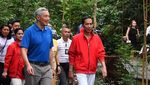 Melihat Keakraban Jokowi-PM Singapura Jalan-jalan di Botanic Garden