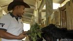 Ini Hasil Kerja Keras Mitra Binaan Semen Indonesia