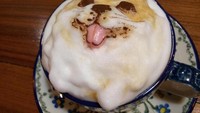 Mau menyesap kopi dengan latte art hewan peliharaan? My Cofi juga bisa membuatnya. Yang ini latte art anjing lucu permintaan salah satu pelanggan. Foto: My Cofi