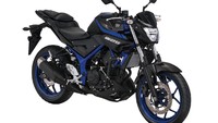 Motor rakitan Indonesia apa saja yang laris di luar negeri, kesepuluh Yamaha MT25: 15.640. Foto: Dok. Yamaha
