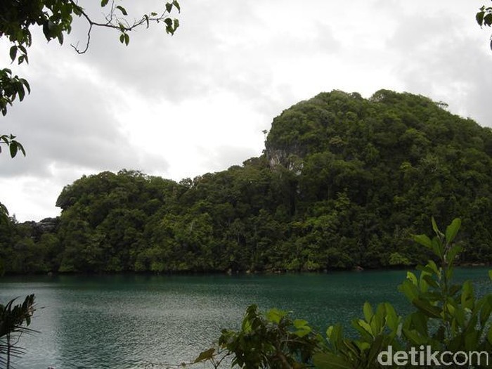 Perubahan Pulau Sempu Jadi Taman Wisata  Alam  Ini Kata  