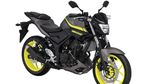 Foto: Yamaha MT-25 Terbaru Nih..