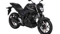 Yamaha MT-25 kini memiliki warna dan grafis terbaru yang selaras dengan MT Series yang sudah ada. Seperti MT-10, MT-09 dan MT-07. Foto: Yamaha