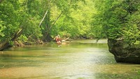 Setelah melayang melewati kanopi pohon, traveler yang menjajal flying fox di Ohio ini akan menukik sampai ke tengah Sungai Hocking (Dok. CNN Travel)