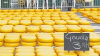 Negeri Belanda terkenal dengan kejunya, terutama Gouda dan Edam. Keju-keju dari Belanda biasanya manis dan kebanyakan dibuat berdasarkan resep yang telah berumur ratusan tahun Foto: Istimewa
