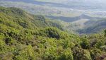 Foto: Flying Fox Terkeren Dunia, Nomor 16 Bikin Semaput