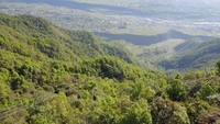 Jika traveler berani mencobanya, ZipFlyer Nepal menawarkan pemandangan yang menakjubkan melintasi kanopi hutan (Dok. CNN Travel)