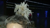 Para pemenang dengan bentuk rambut paling aneh pun akan mendapat hadiah spesial (takhinihotpools.com)
