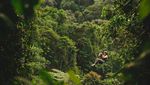Foto: Flying Fox Terkeren Dunia, Nomor 16 Bikin Semaput