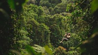 Lintasan flying fox di Kosta Rika ini bisa dikatakan menjadi salah satu paling keren di dunia. Traveler akan melihat hutan hujan yang amat lebat dari ketinggian (Dok. CNN Travel)