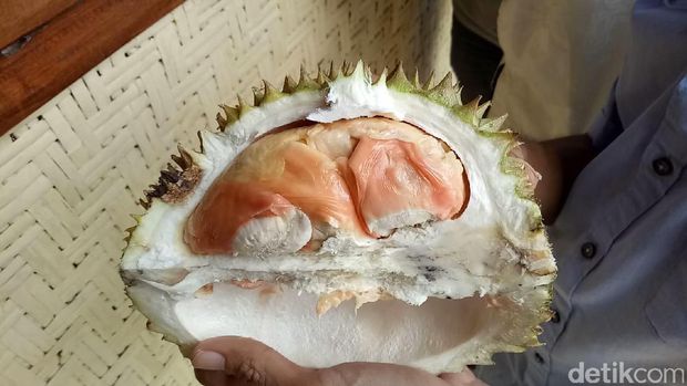 Durian merah khas Banyuwangi