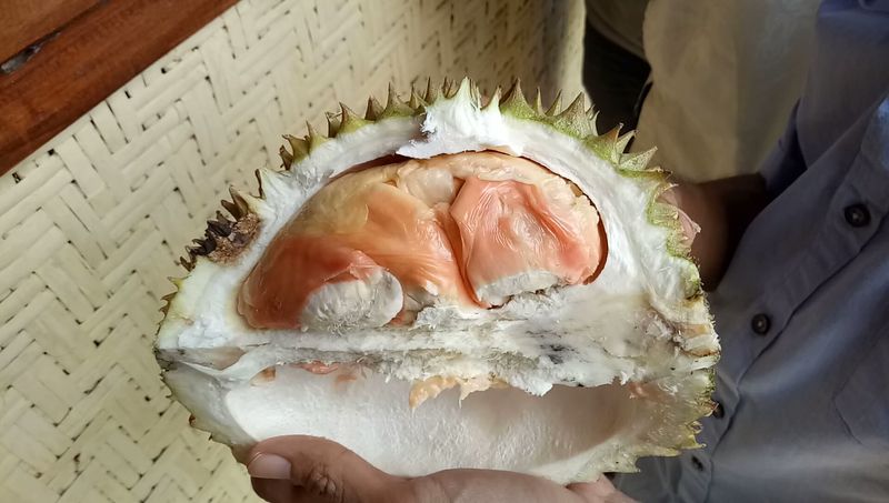 durian merah banyuwangi