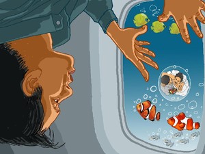 Ikan-ikan di Balik Jendela Bulat