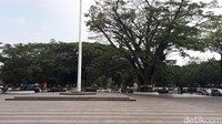 Setiap musim kemarau, pohon jenis ini kerap menggugurkan daunnya. Sedangkan musim hujan, dedaunan akan tumbuh lebat. Meski sudah berusia puluhan tahun, pohon ini aman. Foto: Mukhlis Dinillah