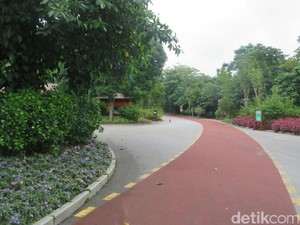 Taman Qingxiu, Bukit Indah yang Ada di Tengah Kota Nanning