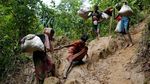 Potret Beratnya Perjuangan Etnis Rohingya Bertahan Hidup
