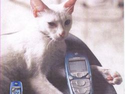 Iklan Ponsel Nokia Jadul yang Menggelitik