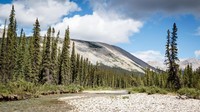 Pegunungan Yukon di Kanada identik dengan penambangan emas pada abad 19 silam. Namun kini, traveler datang ke Yukon untuk mencari tahu sejarah penambangan emas (Vivien Cumming/BBC)